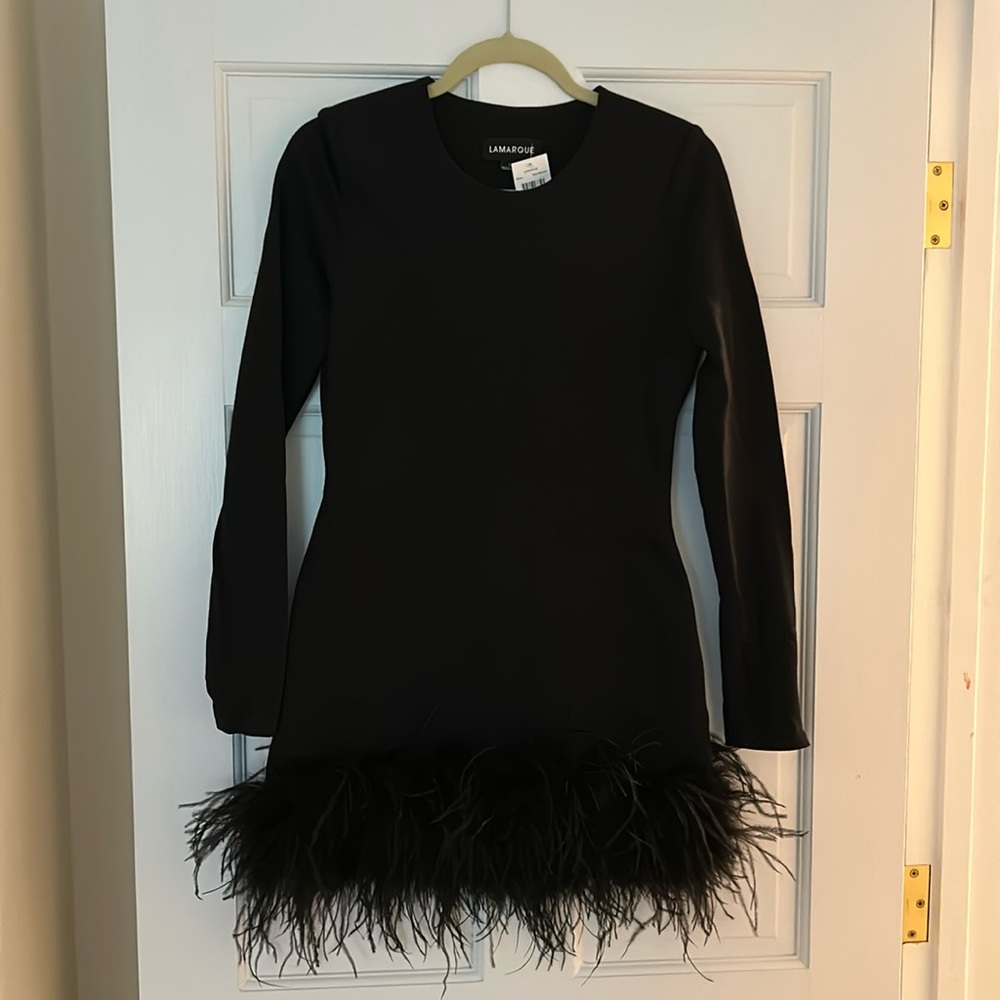 Lamarque Feather-Trim Minidress